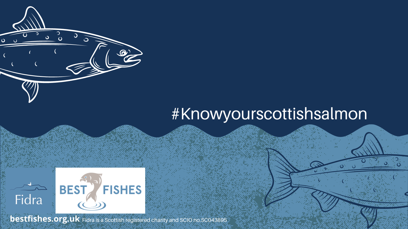 Take a look back at the last 12 months across Scottish Aquaculture from a Fidra perspective.