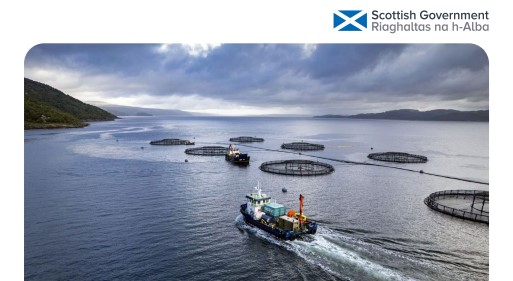 The Scottish Government has published its plans for the aquaculture industry in Scotland leading to 2045.