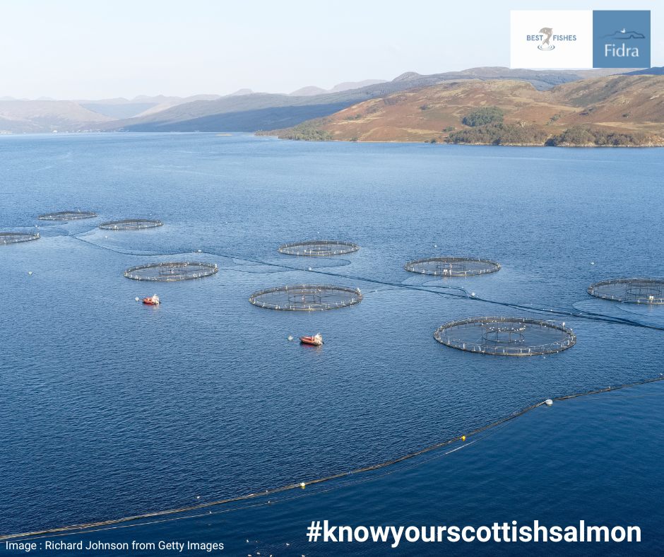 A long-awaited review of the insecticide emamectin benzoate (EMB), better known as SLICE®, was  published in 2022. The  in-feed treatment used to treat parasitic sea lice in Scottish salmon farming, it is the only application for which it is used in the UK. This is despite being intended for use in agricultural settings on a variety of crops and to treat some tree diseases.