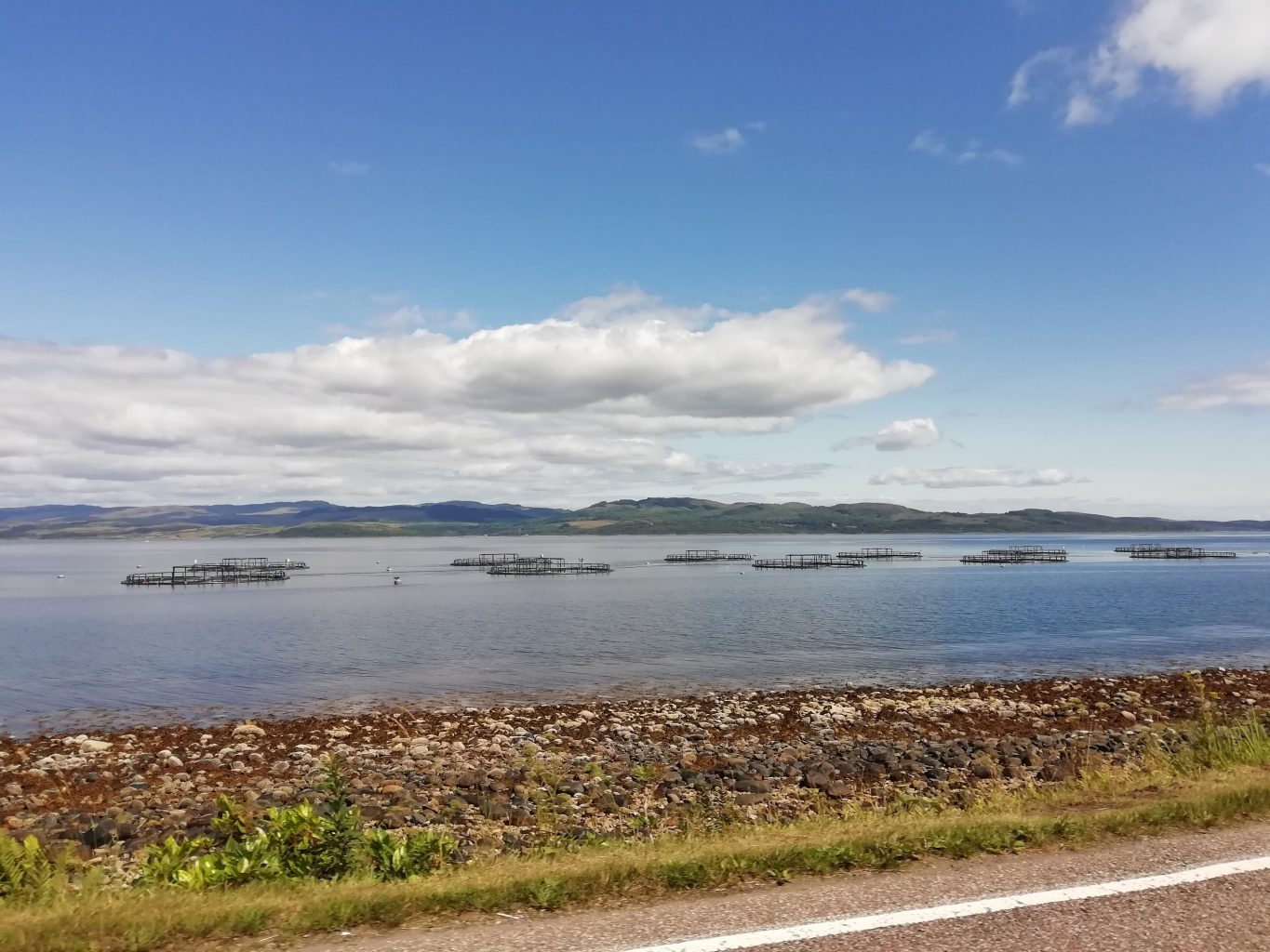 Following the recent review of aquaculture regulation, what’s next for Scottish salmon farming?