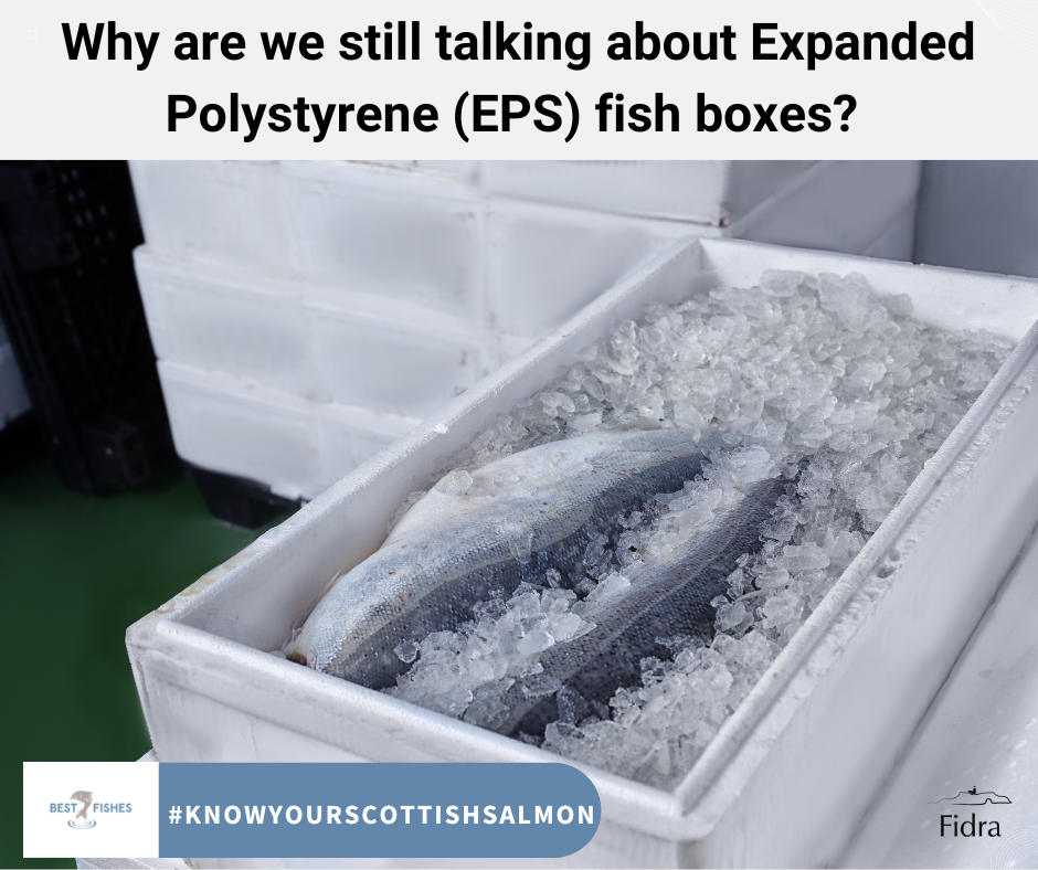 The evidence of the environmental impacts of EPS fish boxes being incorrectly disposed of is mounting​ consumers are more aware of the plastic waste issue. Whilst, retailers recognise the plastic free movement isn’t going away anytime soon. The salmon farming industry was dependent on the use of EPS fish boxes due to their ease and ignored the negative impacts these boxes have on the planet – but have the tides turned quickly enough?